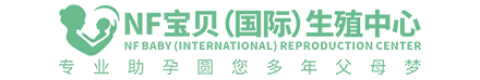 飘飘网
